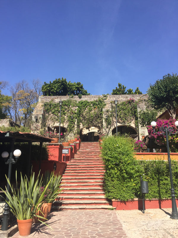 Ex-Hacienda de San Gabriel de Barrera
