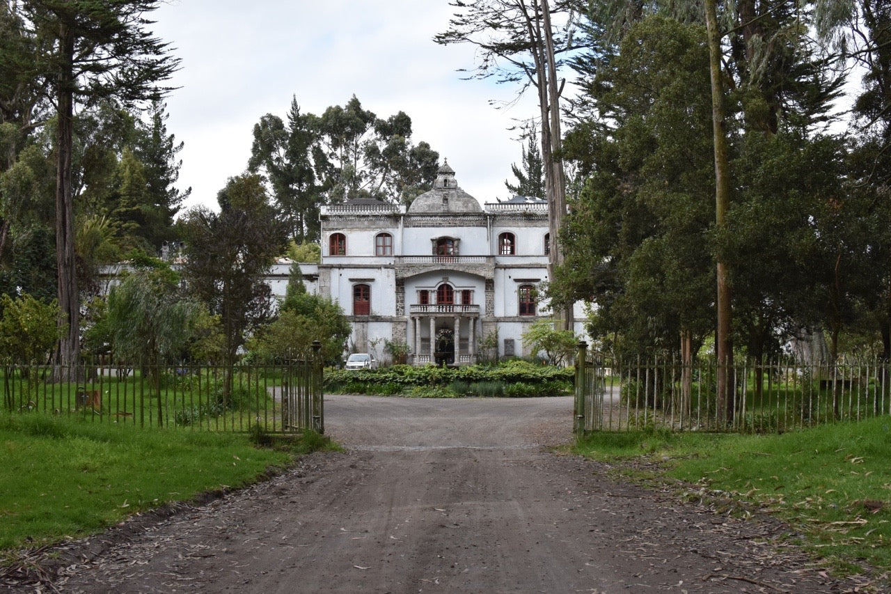 Handbags and Haciendas